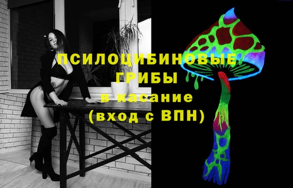 мдпв Абаза