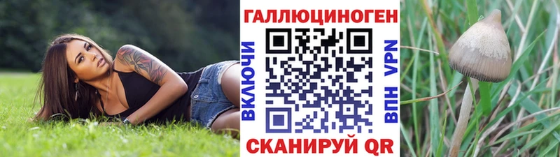 Галлюциногенные грибы Cubensis  наркотики  Чишмы 